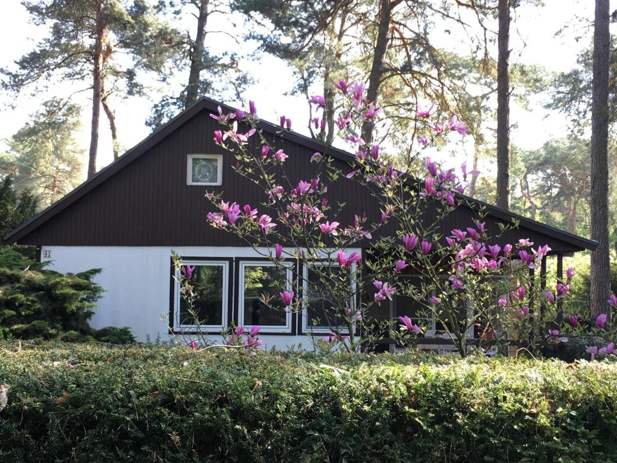 Komplettes Ferienhaus Potsdam Berlin Gaestehaus In Seenaehe 95Qm2 Monteurzimmer Екстериор снимка